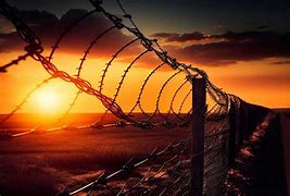 Image result for Barb Wire Fence Clip Art