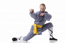 Image result for Kung Fu Martial Arts