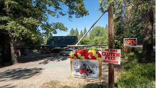 Image result for Apple Hill California