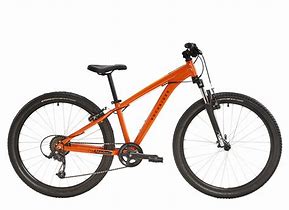 Image result for Decathlon Rockrider Green