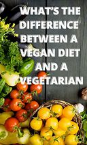 Image result for What Is the Difference Between Vegan and Vegetarian