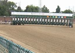 Image result for Horse Race Starting Gate