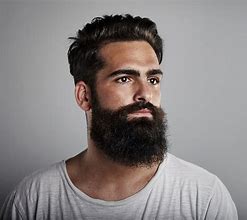 Image result for Barba Hipster
