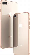 Image result for iPhone 8 Gold vs Rose Gold
