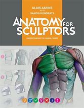 Image result for Anatomy Book Clip Art