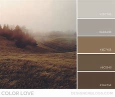 Image result for Brown Gray Paint