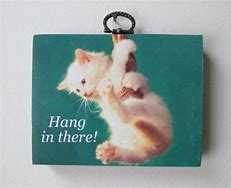 Image result for Hang in There Cat Cute