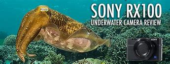 Image result for Kamera Sony RX100