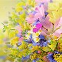 Image result for Summer Flowers Desktop
