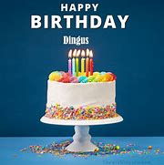 Image result for Happy Birthday Ya Dingus Meme