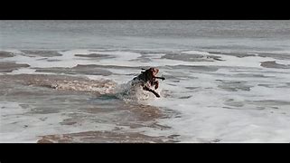 Image result for Nellie Goes Swimming