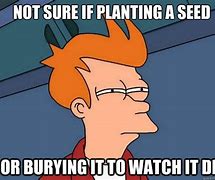 Image result for Planting Seeds Meme