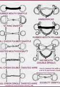 Image result for Horse Bridle Bits