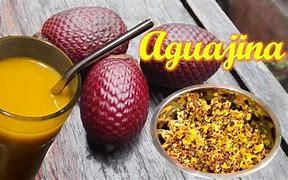 Image result for aguijinar