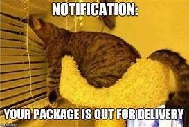 Image result for Deploy This Package Cat Meme