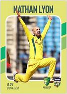 Image result for Cricket Umpire Cards