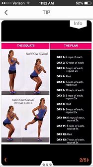 Image result for Flat Stomach Squat Challenge Picture