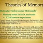 Image result for Human Memory