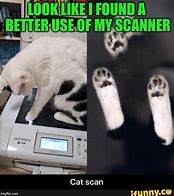 Image result for Cat Printer Meme