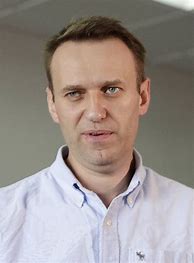 Image result for Alexei Navalny Documentary