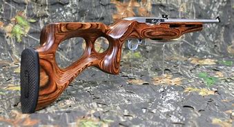 Image result for 10 22 Wood Stock