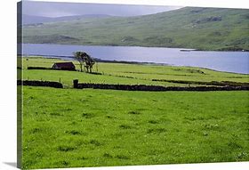 Image result for Framed Pictures of Irish Countryside