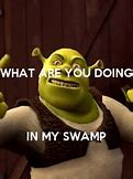 Image result for What Are You Doing My Swamp