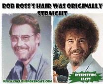 Image result for Bob Ross Straight Hair