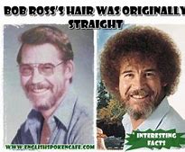 Image result for Bob Ross Flat Hair