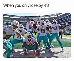 Image result for Miami Dolphins Memes Clean Funny