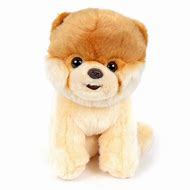 Image result for Boo the World's Cutest Dog Stuffed Animal