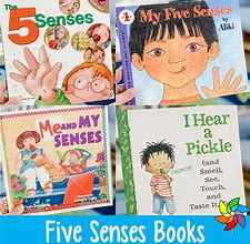 Image result for My Five Senses Book