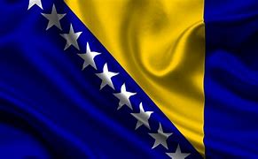 Image result for Bosna Zastava