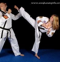 Image result for Karate Female Breaking