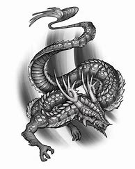 Image result for Kung Fu Dragon Tattoo