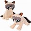 Image result for Grumpy Cat PNG