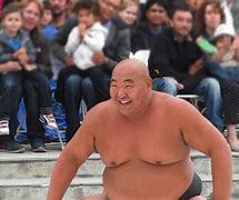 Image result for Sumo Wrestling Clip Art