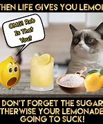 Image result for Sour Lemonade Meme