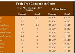 Image result for Apple Variety Comparison Chart