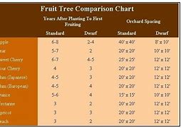 Image result for Optavia Fruit Conversion Chart