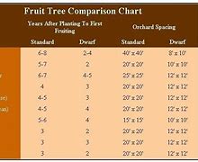 Image result for Semi-Dwarf Apple Tree Spacing