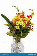 Image result for Beautiful Flowers Bundle