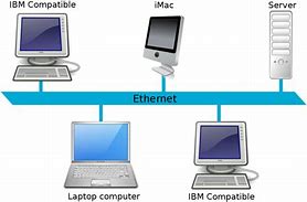 Image result for Ethernet LAN