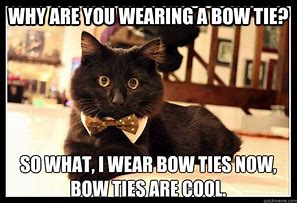 Image result for Cat with Bow Tie Meme