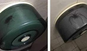 Image result for Cursed Toilet Paper