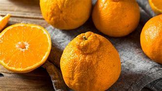 Image result for Sumo Mandarin Orange Logo