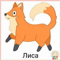 Image result for Flash Cards of Fox