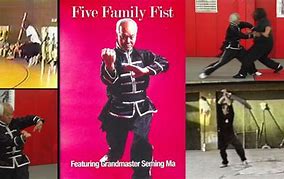 Image result for 12 Bridges of Hung Gar Kung Fu