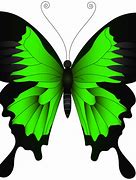 Image result for Large Butterfly Printable