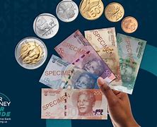 Image result for Sarb New Money